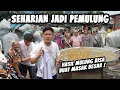 Download Lagu MULUNG DI JAKARTA MALAH JADI KAYA. HASIL MULUNG BUAT MASAK!