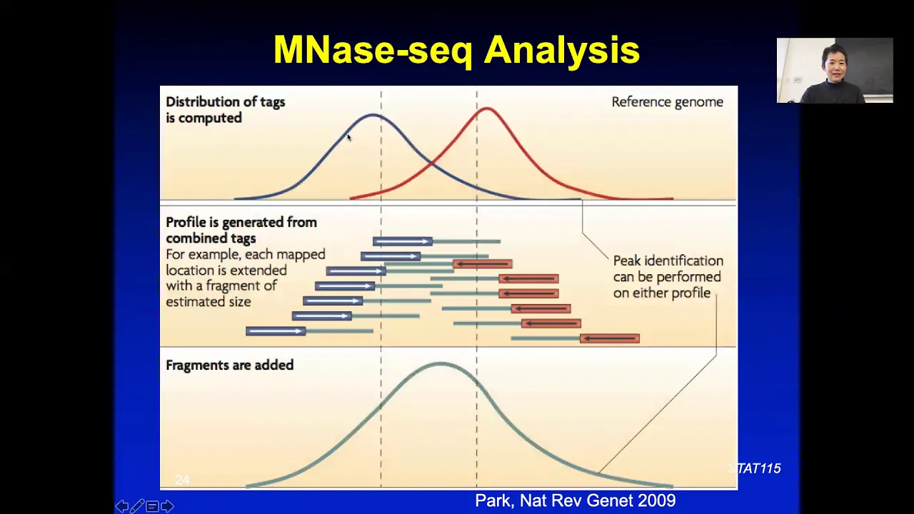 2019 STAT115 Lect12.4 Nucleosome Positioning