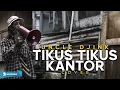 Download Lagu Iwan Fals - Tikus Tikus Kantor (Reggae Version)