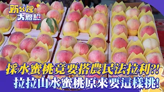 New Taiwan Experience Picking peaches requires riding a farmer s Ferrari This is how you act