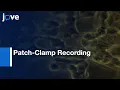 One-Channel Cell-Attached Patch-Clamp Recording l Protocol