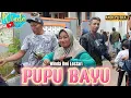 Download Lagu PUPU BAYU || WINDA DWI LESTARI || ANDI PUTRA 2 || DESA ILIR KECAMATAN KANDANGHAUR