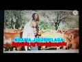 Download Lagu NDAMA JIGUSHILAGA luganda kwa mwanishungulu pr by lwenge studio