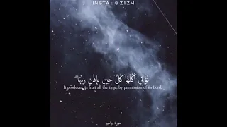 حالات واتساب قرآن الم تري كيف ضرب الله مثلا كلمة طيبة كشجرة طيبة 