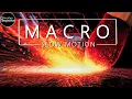 Everyday Objects In Macro at 10 000fps