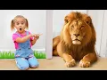 Lagu Learn wild animal names and sounds with Alice!