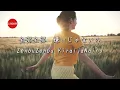 【歌詞】ドライフラワー 優里 / Dry flower Yuuri