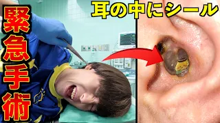 シールが耳に入って取れなくなりました