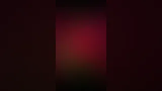 اغنيه للفنان هاني شاكر ب كل مدبلجه دندنها