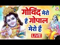 Lagu Live :- गोविन्द मेरो हैं गोपाल मेरो हैं | Govind Mero Hai Gopal Mero Hai |  सबसे सुन्दर कृष्ण भजन