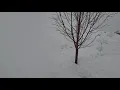 1st use of the Snow Joe ION100V-21SB 21-Inch The initial Review of the 100v series