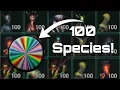 I Broke Evolutionary Predators with One Bug