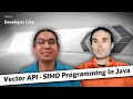 Vector API SIMD Programming in Java