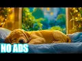 Lagu Natural Therapy Music for Anxious Dogs 🐶 Helps Relax, Reduce Stress, and Promotes Deep Sleep in Dog