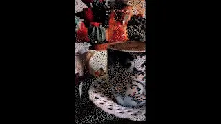 شو كانت حلوة الليالي حالات واتس أب بدون موسيقى 