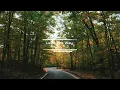 Download Lagu NICCKO - Lead The Way