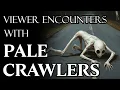 PALE CRAWLERS Viewer Experiences