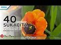Download Lagu Yehuda Singers - 40 Nonstop Sukacita Volume 5
