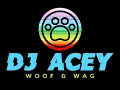 Download Lagu DJ Acey - Live at CFz2025 - Camped-up, Clubbed-up, pop, dance, oldies and tech-house - Visualiser