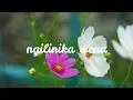 Download Lagu MSIHLO LUGAJU ft AMANDAX  ALWANELE
