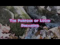 The TRUE Purpose of Lucid Dreaming