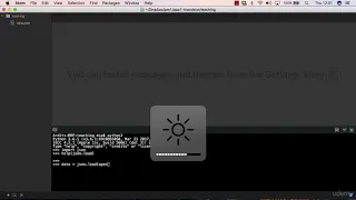 077 Loading the JSON Data into a Python Dictionary