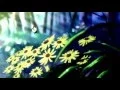 Download Lagu Akagami no Shirayuki-hime AMV by Haruka