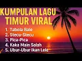 Download Lagu Kumpulan Lagu Timur Viral Terbaru 2025 | Tabola Bale, Stecu-Stecu, Pica-Pica#lagutimurviral