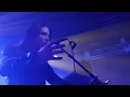 DARK FORTRESS - The Silver Gate (Live in 2023) (OFFICIAL LIVE VIDEO)