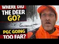 Record Doe Tags Empty Woods Something Isn t Right