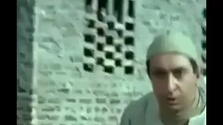 فيلم الزمار انتاج ١٩٨٥ بطولة نور الشريف بوسى صلاح السعدنى توفيق الدقن محسنة توفيق 