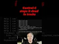 Runaway Python script How to stop it