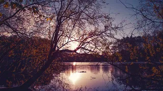 تلاوة رائعة سورة طه القارئ احمد سعيد العمراني 