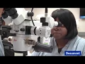 Beaumont Microsurgery Training Institute