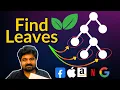 Find Leaves of Binary Tree LeetCode 366