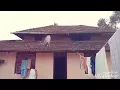 Simpallag ond love story..,,,nanna preethi kusuri chooraithu song