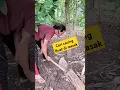Download Lagu Mencari cacing - looking for worms #comedy