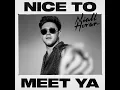 Download Lagu Niall Horan - Nice To Meet Ya (Audio)