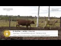 Miniatura mídia 5