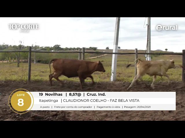 Preview de vídeo - VZFQUkkrdsc