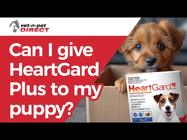 HeartGard Plus Chewables Green - for Dogs 12-22kg