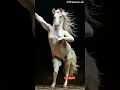 Dancing Horse #ai #aiart
