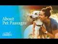 About Pet Passages