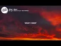 Morgan Wallen - What I Want (feat. Tate McRae) (Lyrics)