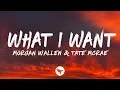 Download Lagu Morgan Wallen - What I Want (feat. Tate McRae) (Lyrics)