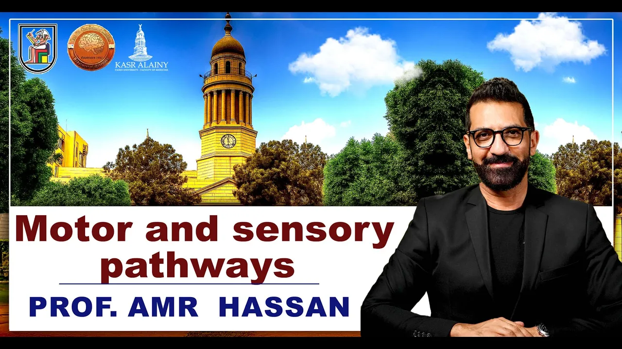 Motor and sensory pathways- أ.د.عمرو حسن الحسني أستاذ المخ و الأعصاب