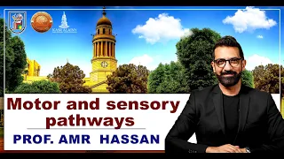 Motor and sensory pathways- أ.د.عمرو حسن الحسني أستاذ المخ و الأعصاب