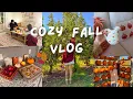 COZY FALL VLOG apple picking pumpkin patch fall baking so much more