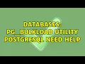 Databases PG - bulkload utility postgresql need help