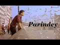 Lagu Parindey – Mohammed Irfan | The Successful Loosers | Aaditya Kumar | Abhishek R Sharma